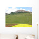 Castelluccio Wall Decal