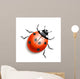 Ladybird