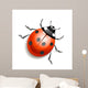 Ladybird