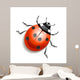 Ladybird