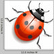 Ladybird