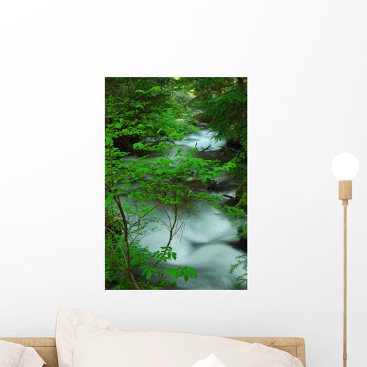 River Creek Wall Mural