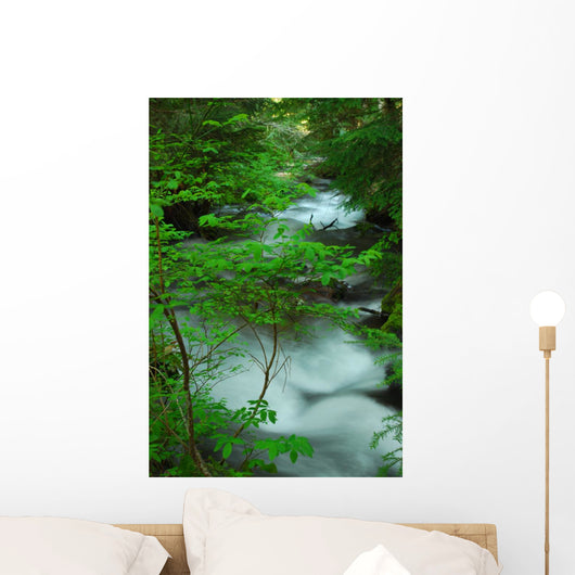 River Creek Wall Mural