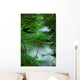 River Creek Wall Mural