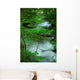 River Creek Wall Mural