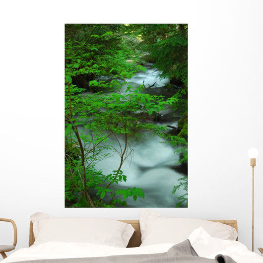 River Creek Wall Mural