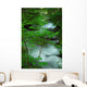 River Creek Wall Mural
