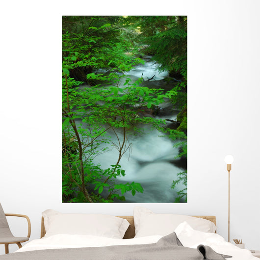 River Creek Wall Mural
