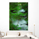 River Creek Wall Mural