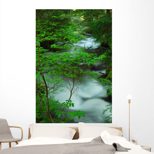 River Creek Wall Mural