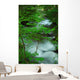 River Creek Wall Mural