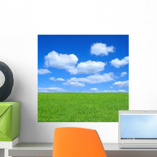 Empty Summer Meadow Against Wall Decal