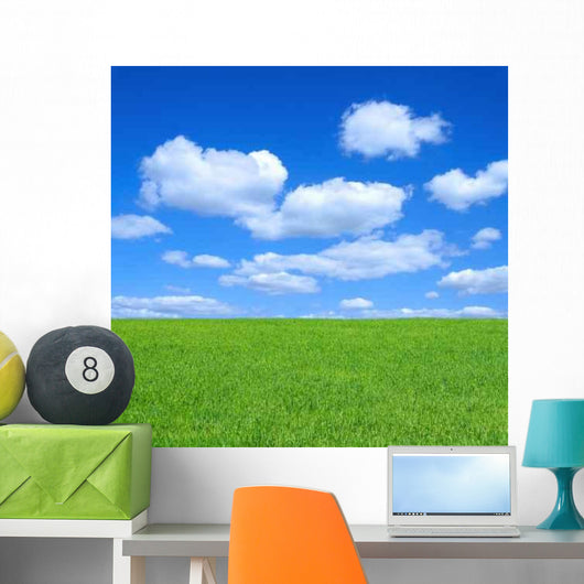 Empty Summer Meadow Against Wall Decal