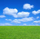 Empty Summer Meadow Against Wall Decal