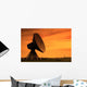 Huge Satellite Dish Evening Wall Decal