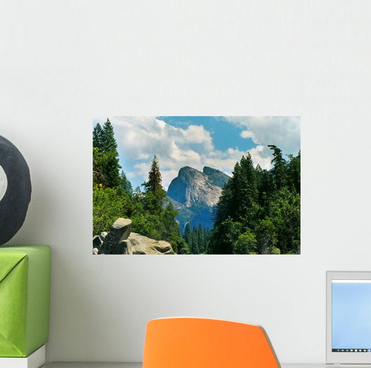 Yosemite National Park Wall Mural