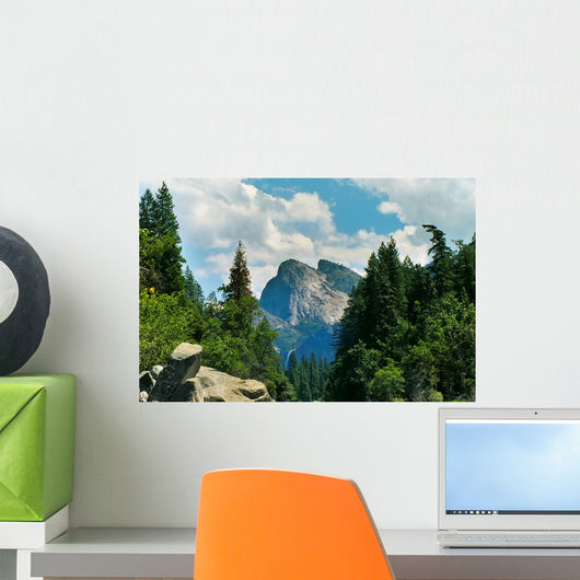 Yosemite National Park Wall Mural