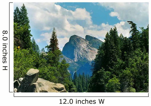 Yosemite National Park Wall Mural