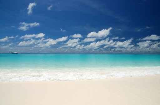 Lonely Beach Wall Decal