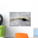 Ice Hockey Wall Mural