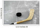 Hockey Stick and Puck Wall Mural