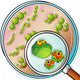 Petri plate and magnifier Wall Decal