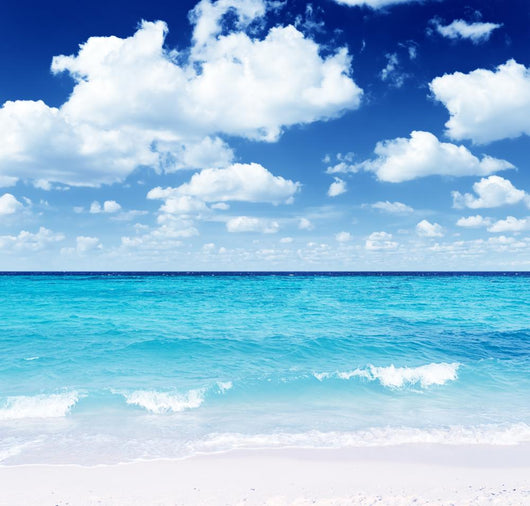 Beach Wall Mural