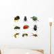 Set Insects