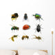 Set Insects