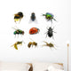 Set Insects
