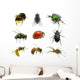 Set Insects
