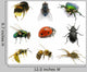 Set Insects