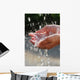 Hands catching clean water close up. Environmental concept. Wall Mural
