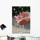 Hands catching clean water close up. Environmental concept. Wall Mural