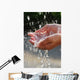 Hands catching clean water close up. Environmental concept. Wall Mural