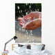 Hands catching clean water close up. Environmental concept. Wall Mural