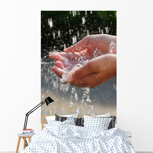 Hands catching clean water close up. Environmental concept. Wall Mural
