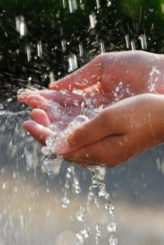 Hands catching clean water close up. Environmental concept. Wall Mural