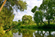 Green Trees and Its