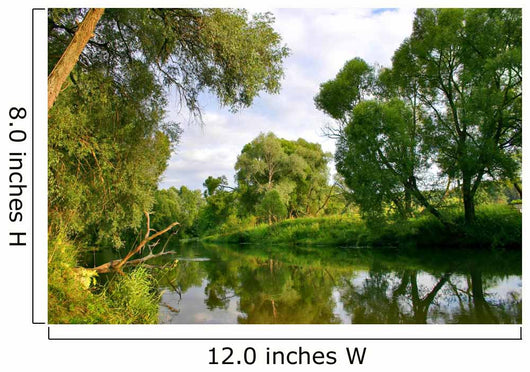 Green Trees and Its