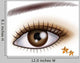 Eye
