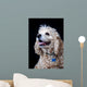 American Cocker Spaniel Wall Mural