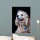 American Cocker Spaniel Wall Mural