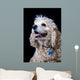 American Cocker Spaniel Wall Mural
