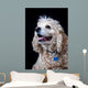 American Cocker Spaniel Wall Mural