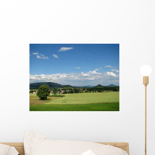 Reinhardt-Schona Wall Decal