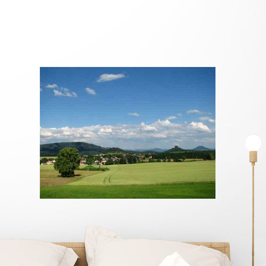 Reinhardt-Schona Wall Decal