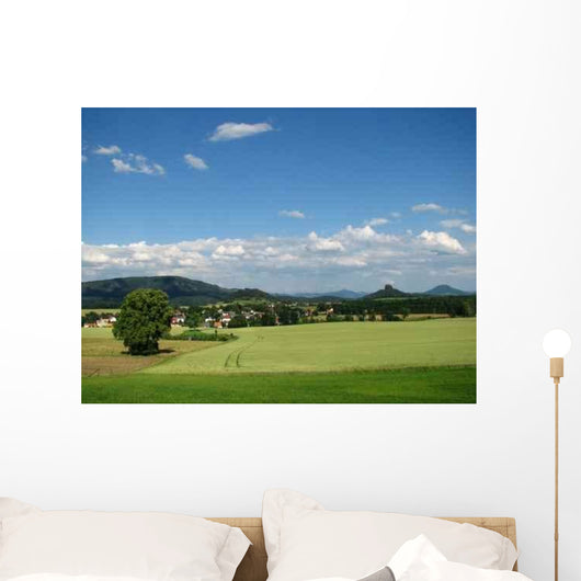 Reinhardt-Schona Wall Decal