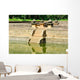 Kuttam Pokuna Twin Ponds Wall Mural