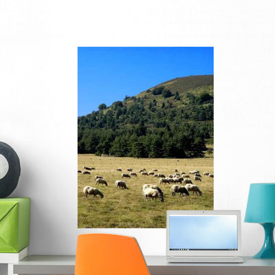 Sheep Wall Decal shown on a wall